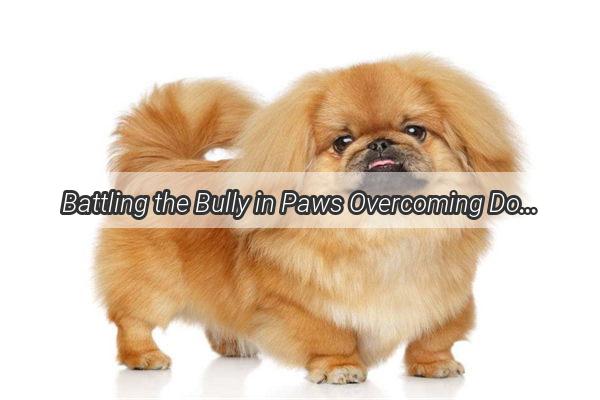 Battling the Bully in Paws Overcoming Dog Weight Anxiety and Finding a Healthy Balance